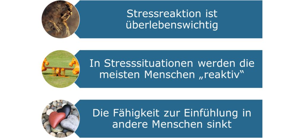 Wirkungen von Stress in der Kommunikation