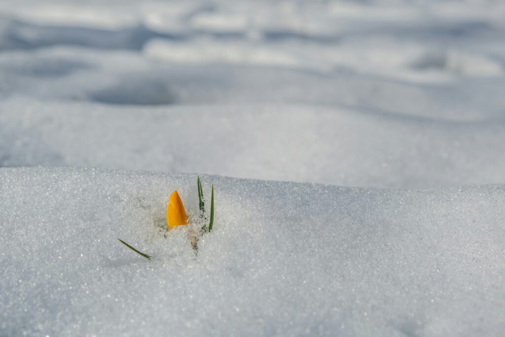 Change Management Krankenhaus unfreezing